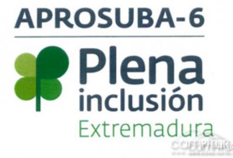 Curso gratuito impartido por Aprosuba – 6